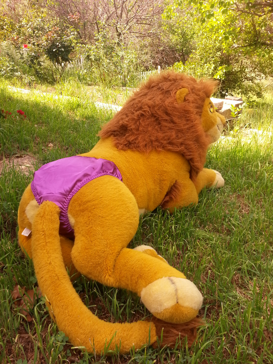 douglas simba plush