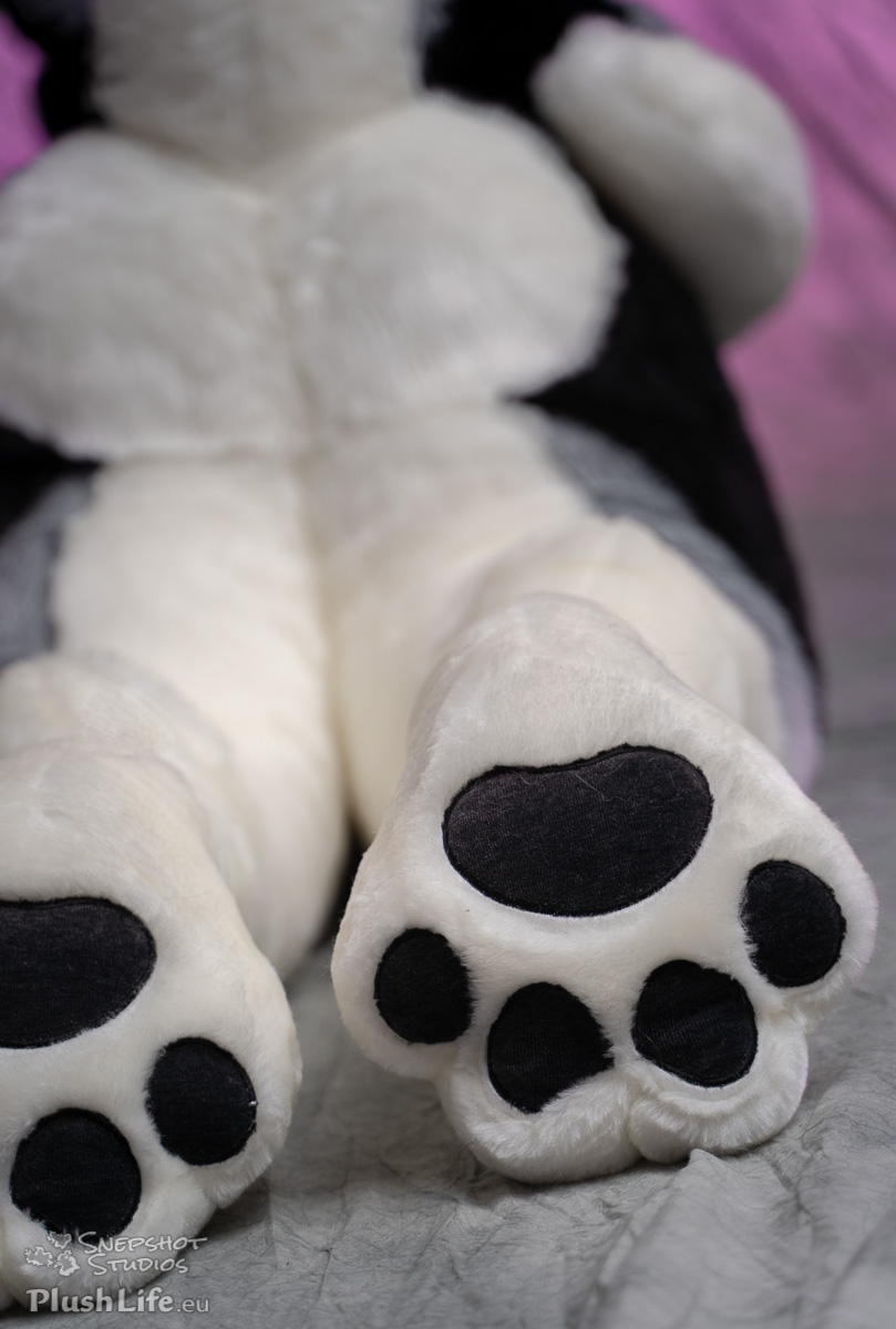 plushlife husky