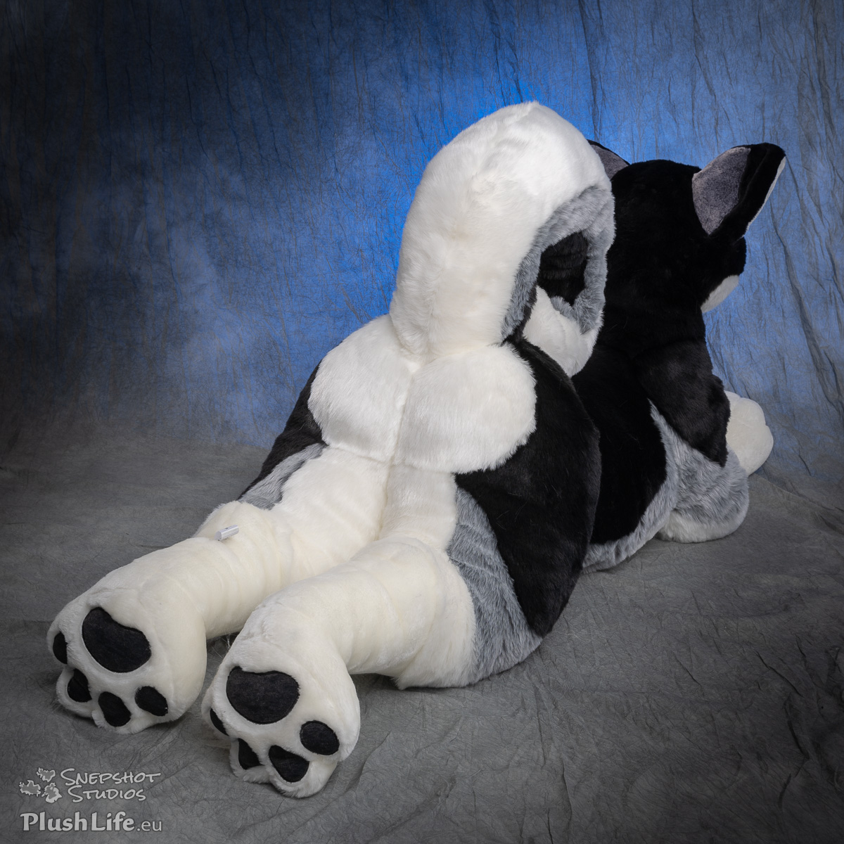 plushlife husky