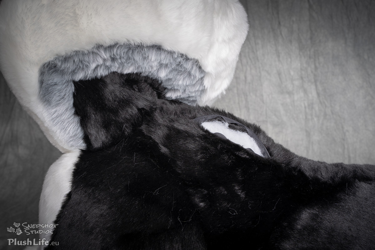 plushlife husky