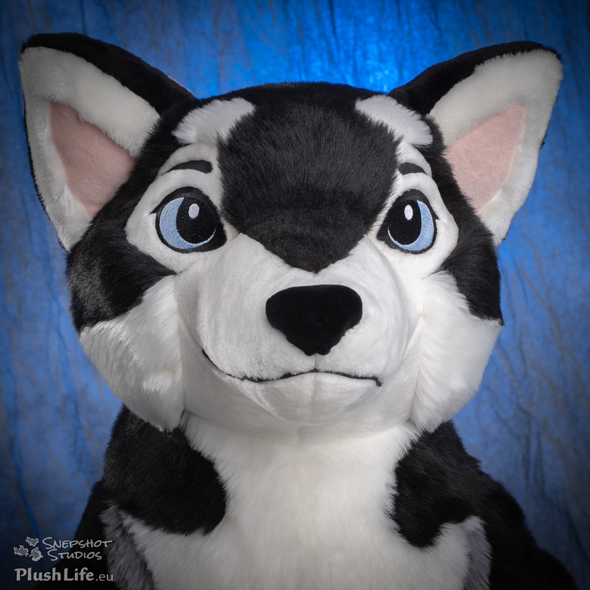 plushlife husky