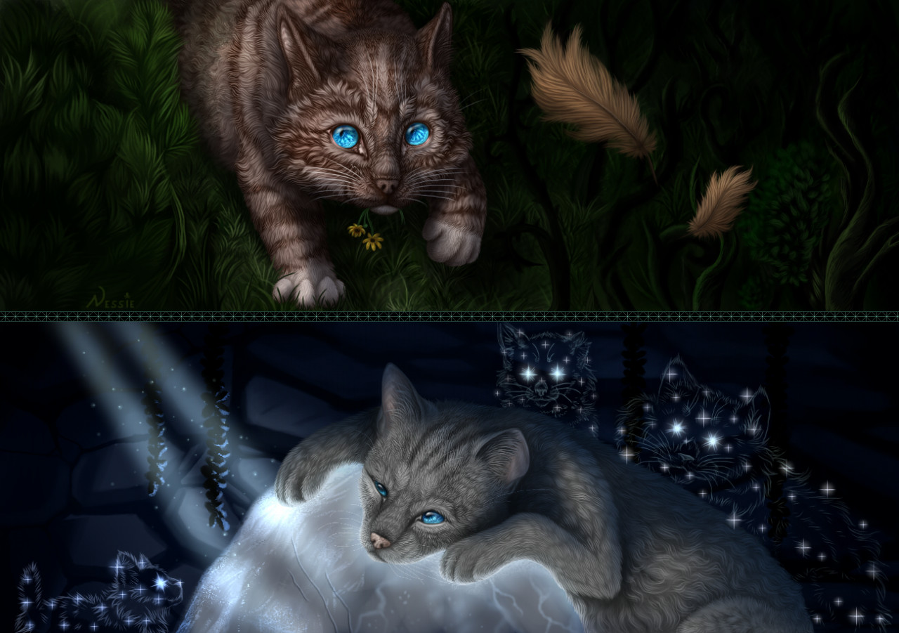 Midnight  Warrior cats by plush_nessie -- Fur Affinity [dot] net