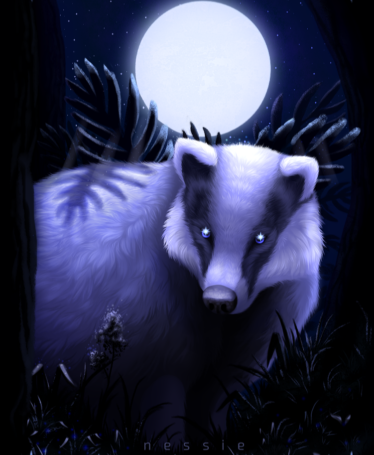 Midnight the Badger by CascadingSerenity on DeviantArt