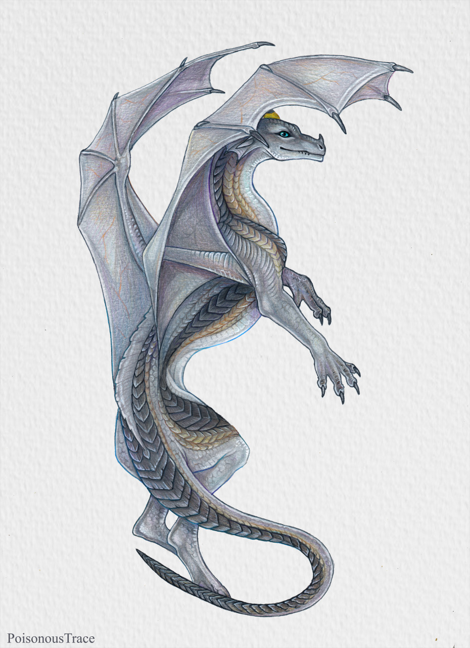 Happy Flying Dragon Graphic by Fype Co. · Creative Fabrica