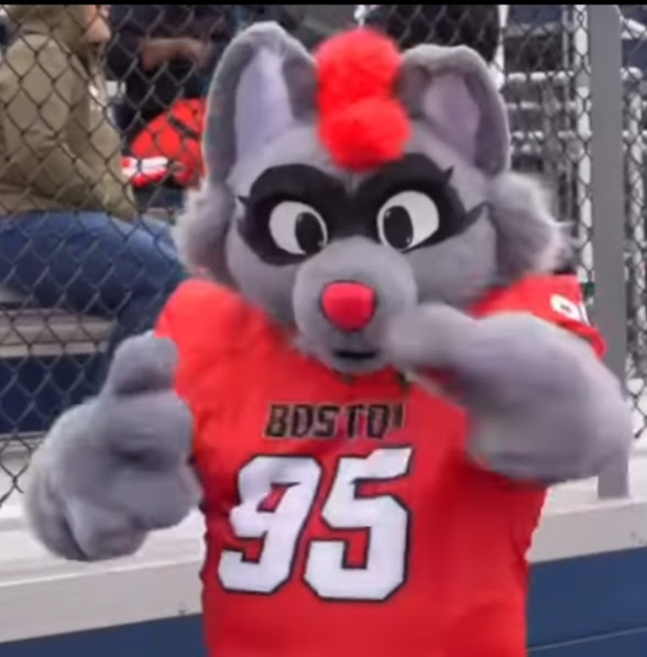 Boston Renegades Official Mascot - Rush the Raccoon by ...