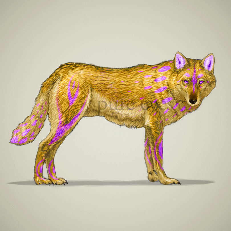 Adoptable Auction Golden Wolf Open By Pure Eyes Fur Affinity Dot Net