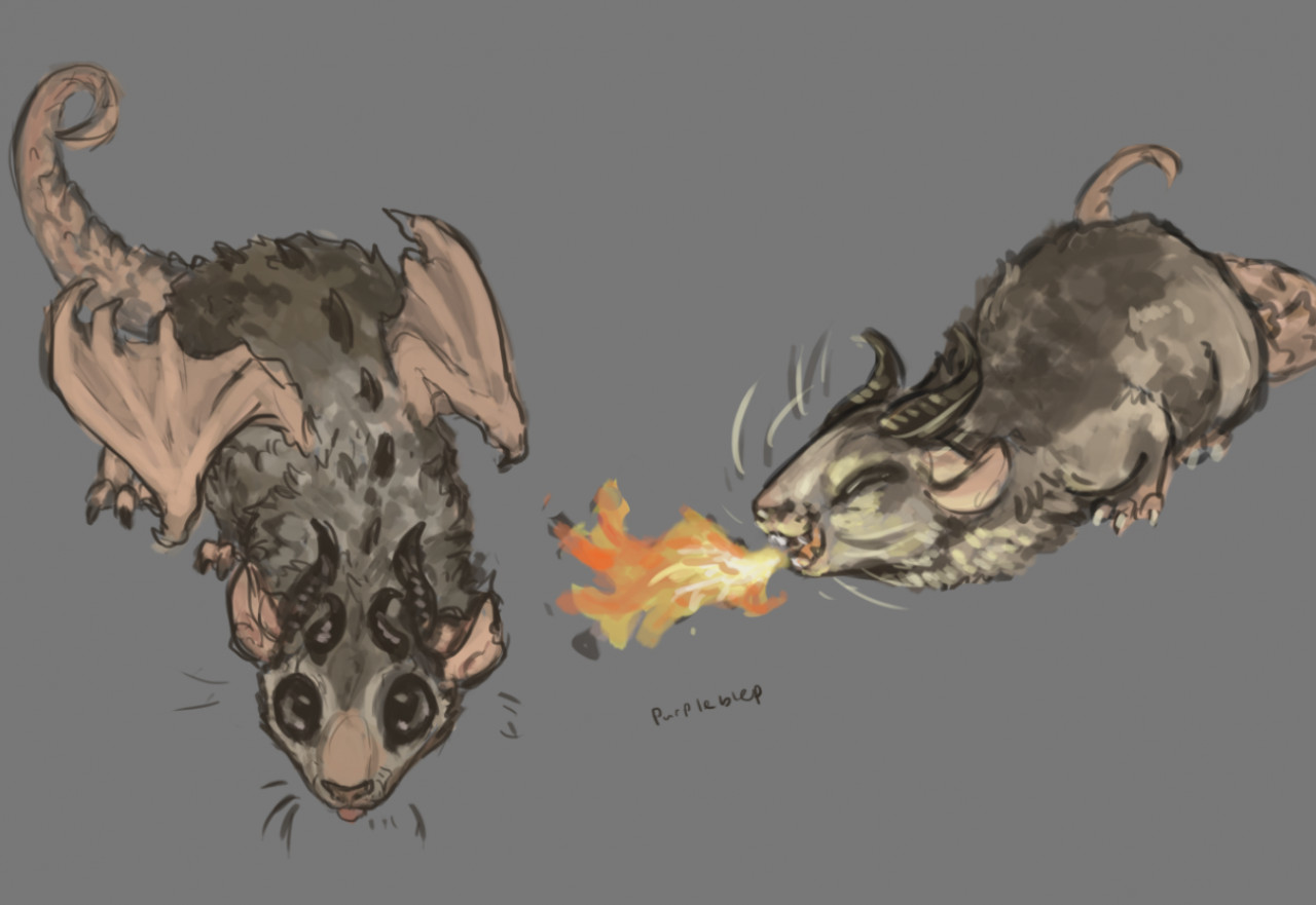 Mouse dragon on sale