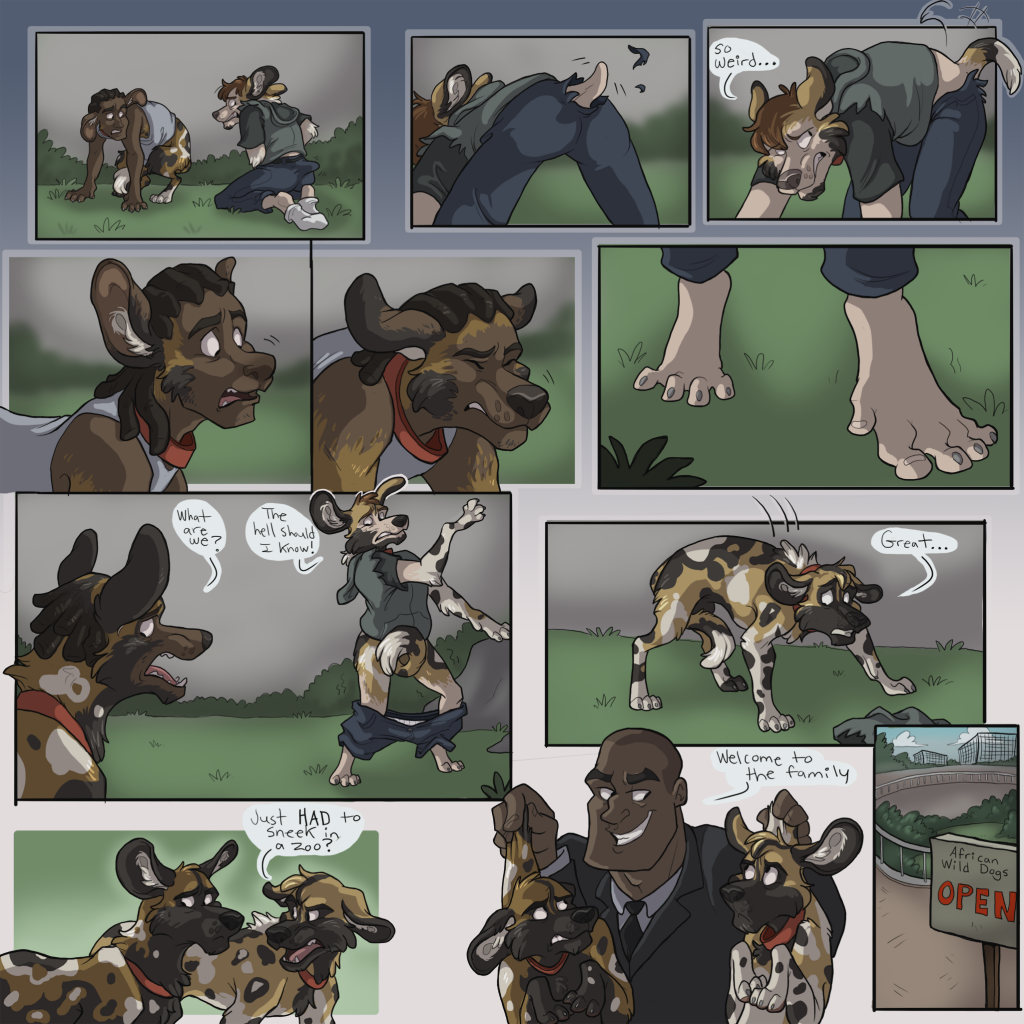 Canine (Other). comic. tf. 