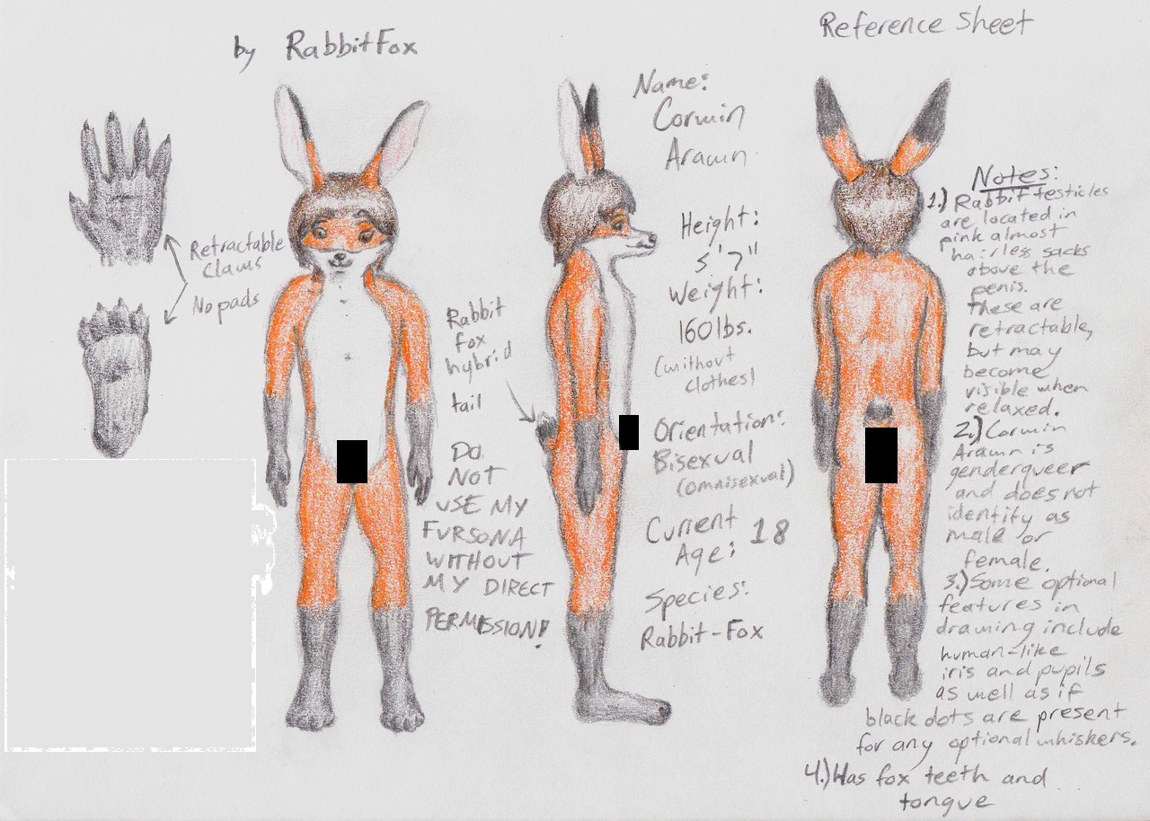 pic Anatomy Rabbit Drawing Reference corwin arawn reference sheet clean by