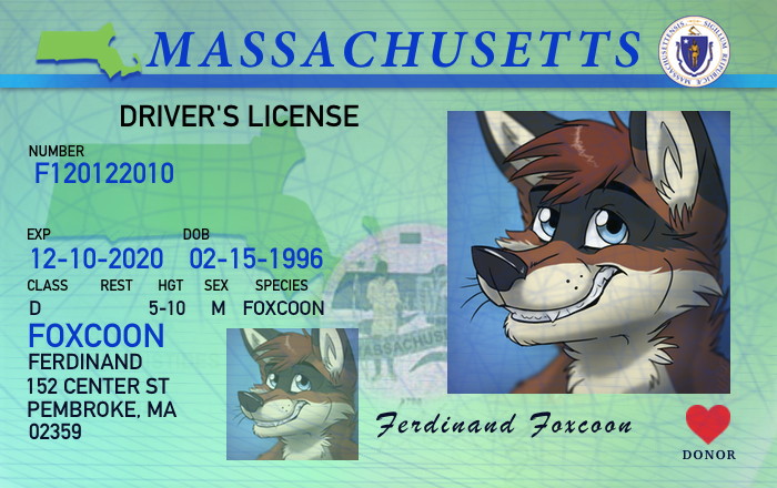 Massachusetts Driver License