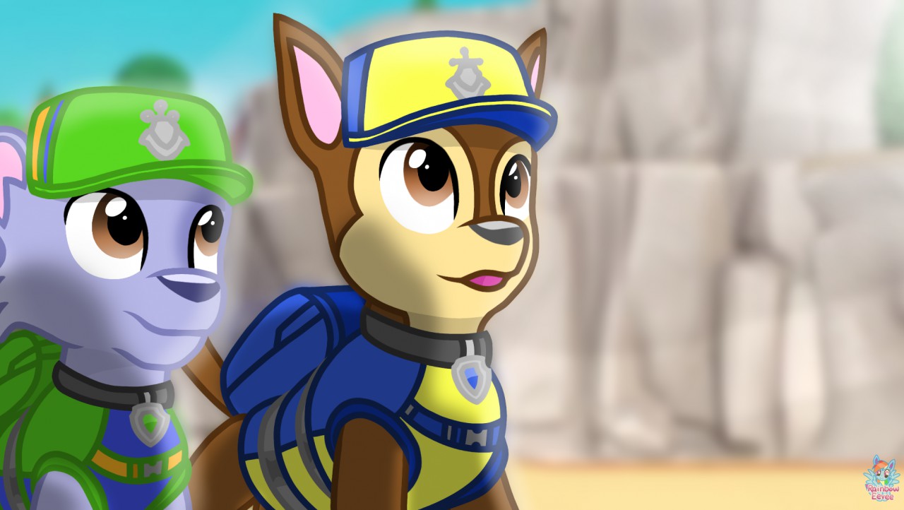 paw patrol sea patrol rocky