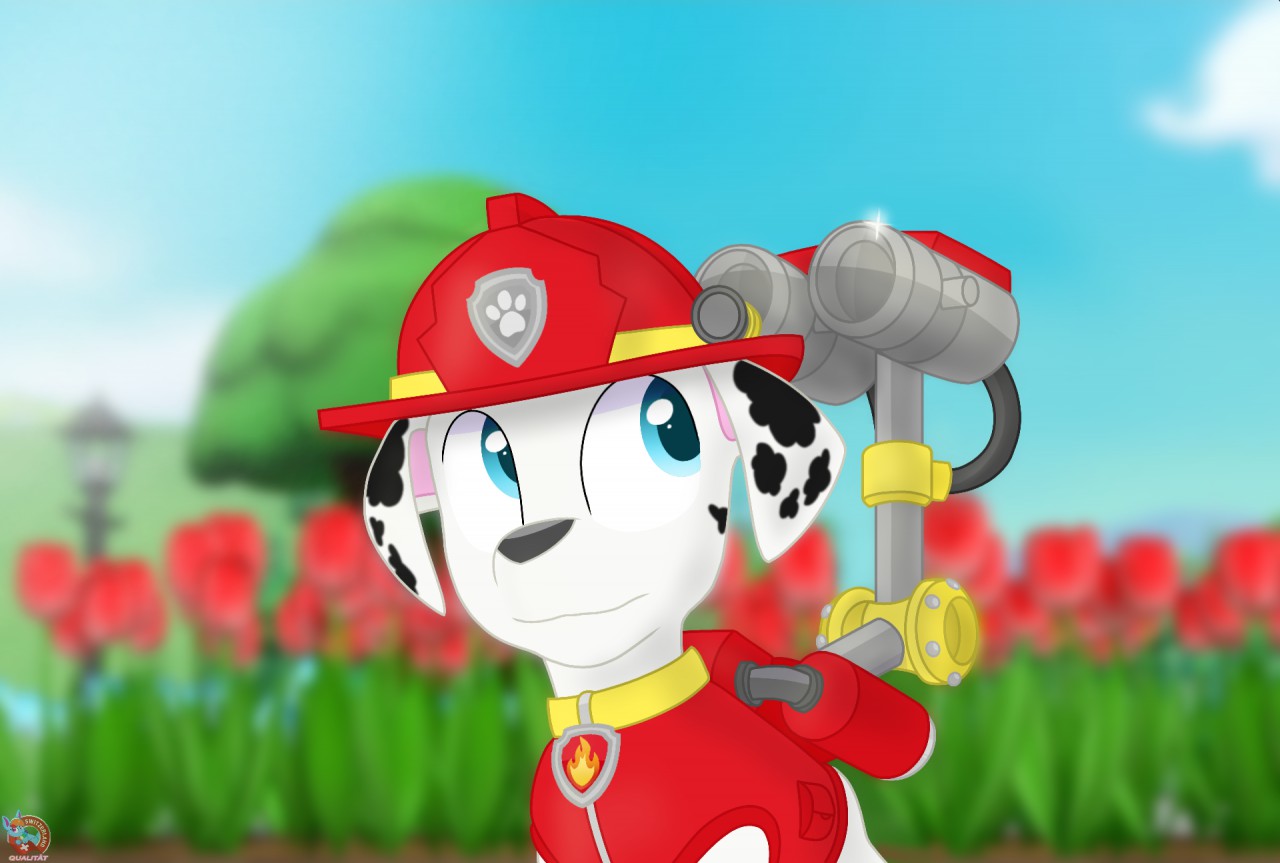 Paw patrol store water cannon