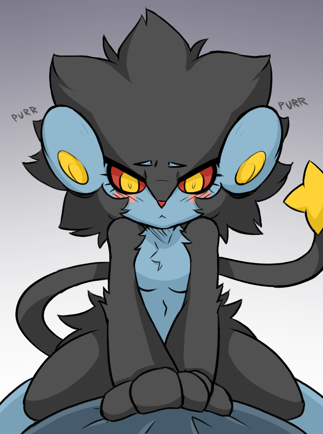 Luxray female