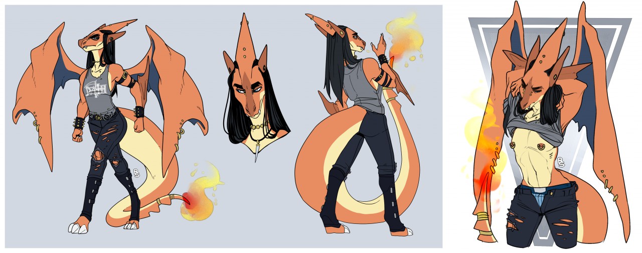 Pokemon charizard x y and normal