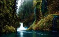 Calm Like A Waterfall - Music