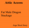 Attic Access