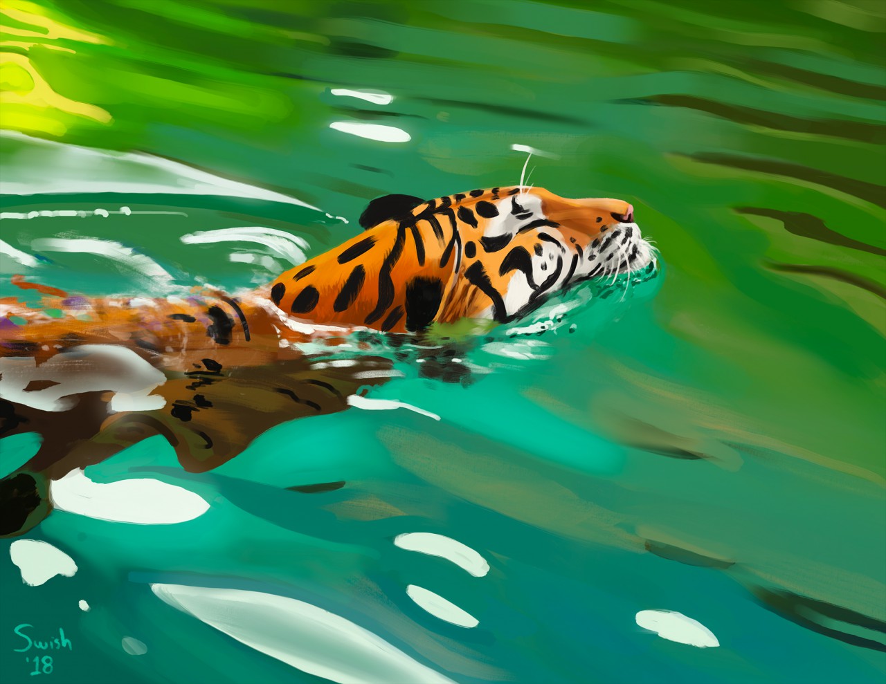 Тигр плывет