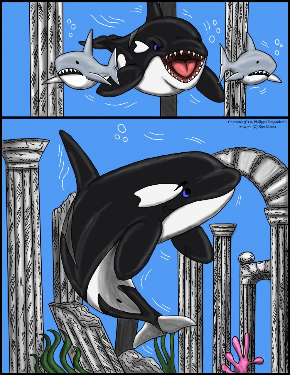 Orca tf