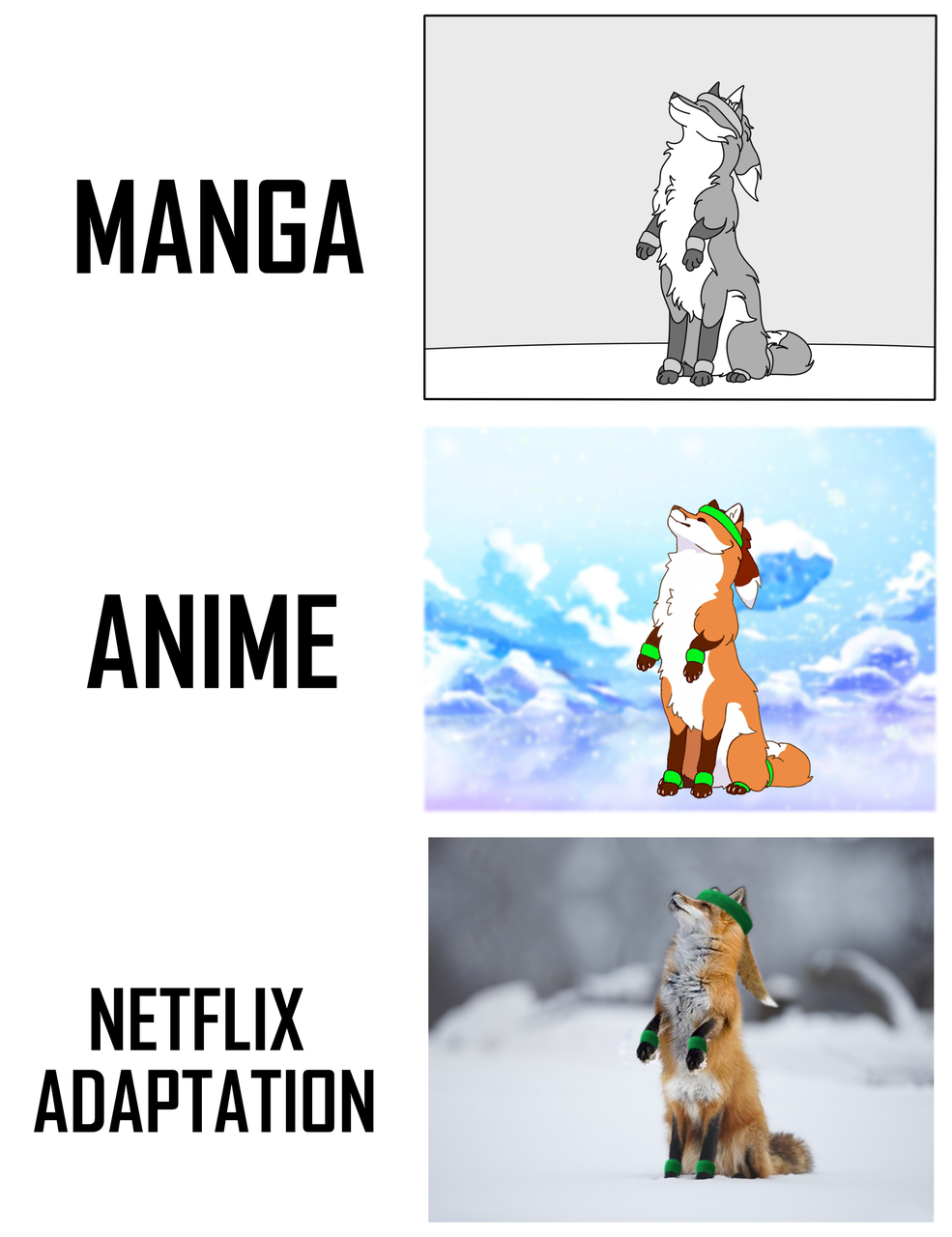 Netflix Adaptation Manga Anime | @Deathsnyder | Memes