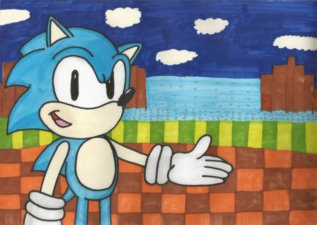 Sonic the Hedgehog Green Hill Zone Painting 