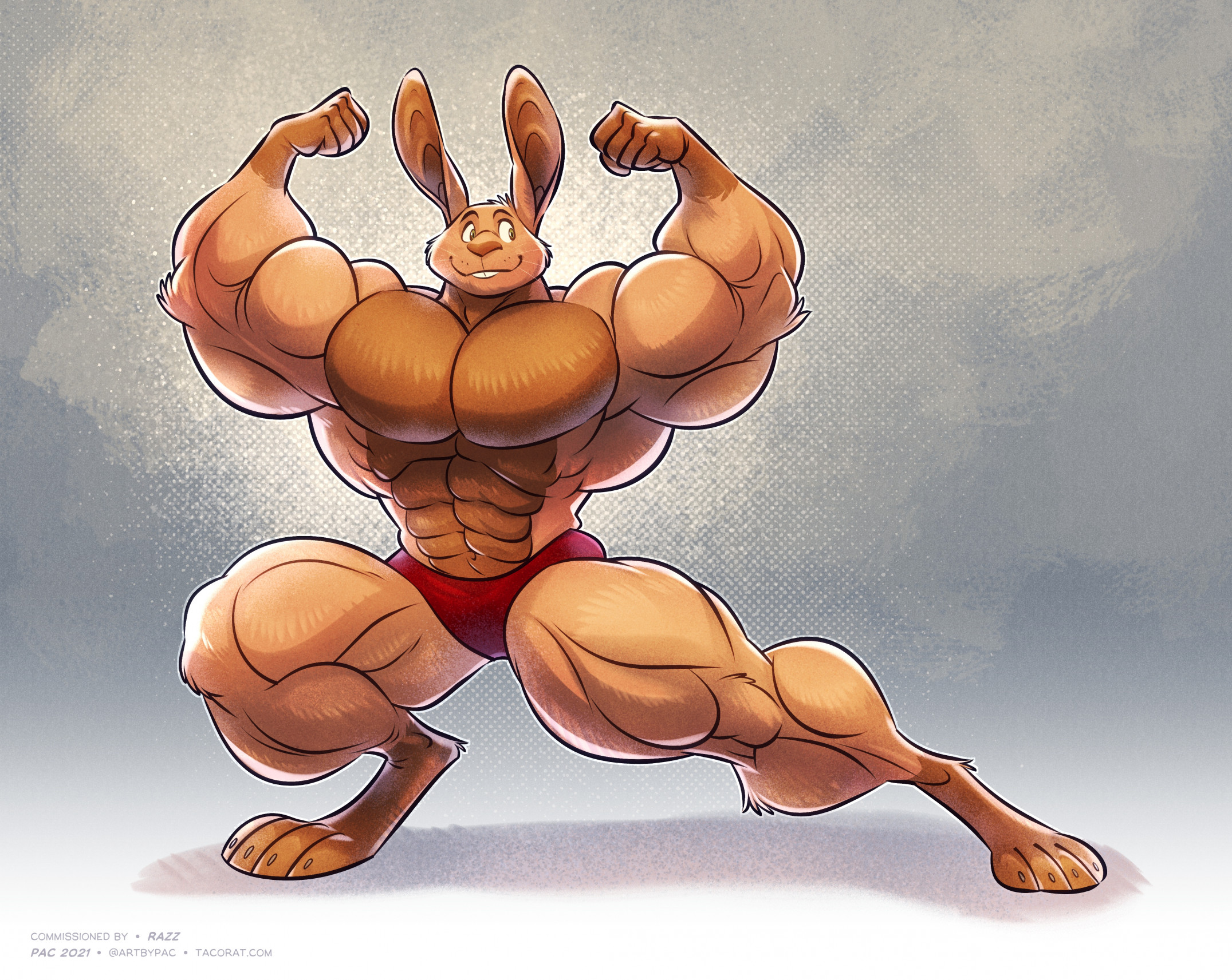 Bunny Muscle
