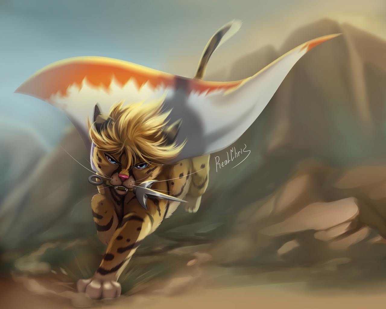 Minato Cats Minato Cats