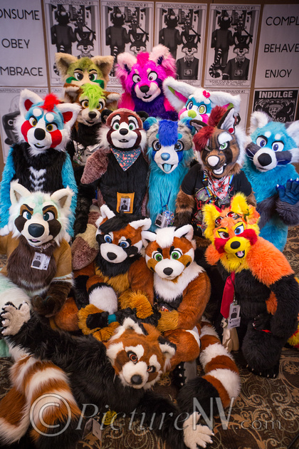 BLFC 2015 Red Panda Photoshoot by RED-STRIPED -- Fur Affinity [dot] net