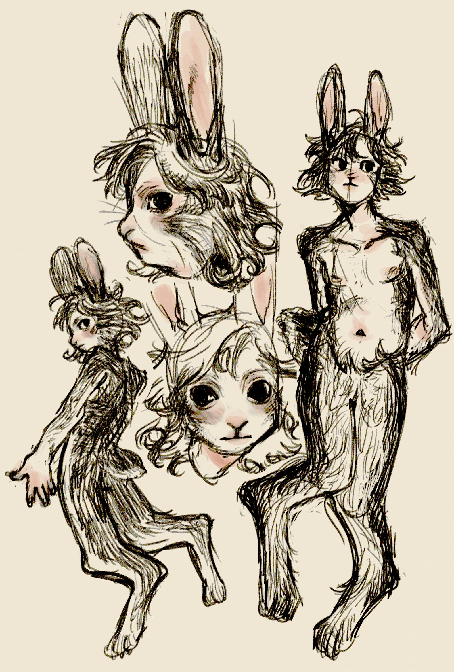 half human half rabbit drawing