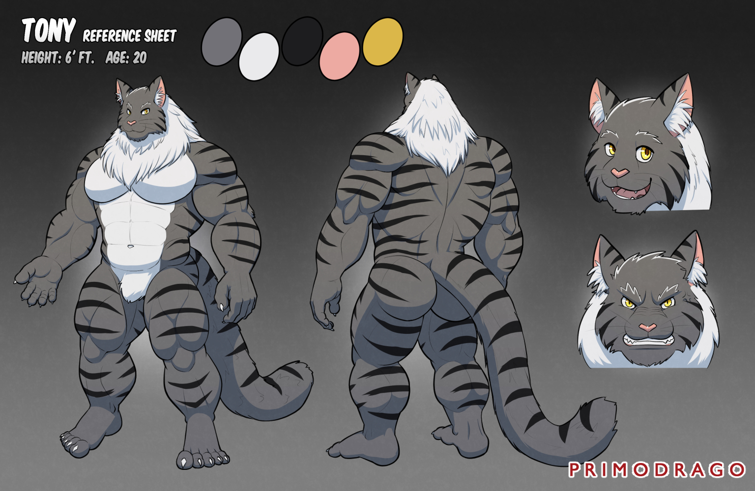 Ref] Tony by Red_Dragon_Roar -- Fur Affinity [dot] net