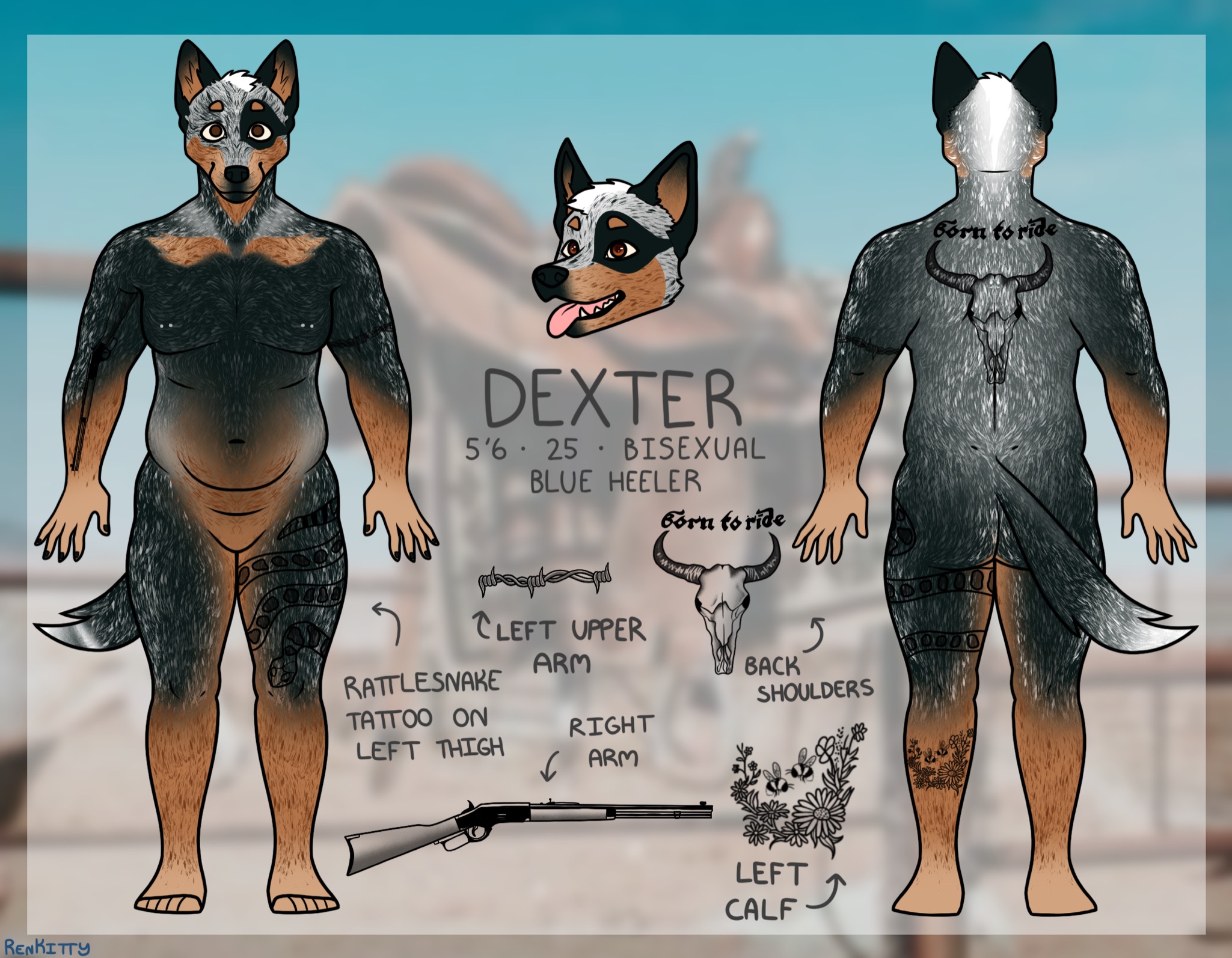 Dexter Australian Cattle Dog