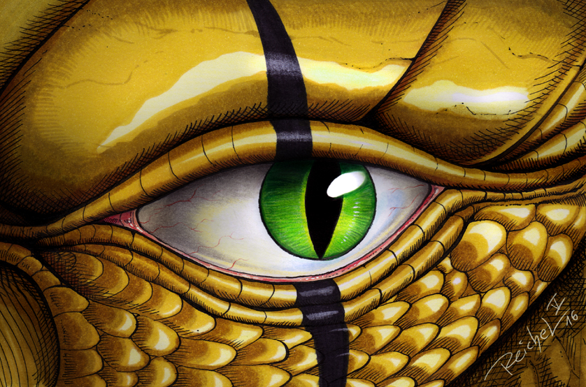 Eye Of The Drake By Reptilecynrik Fur Affinity Dot Net