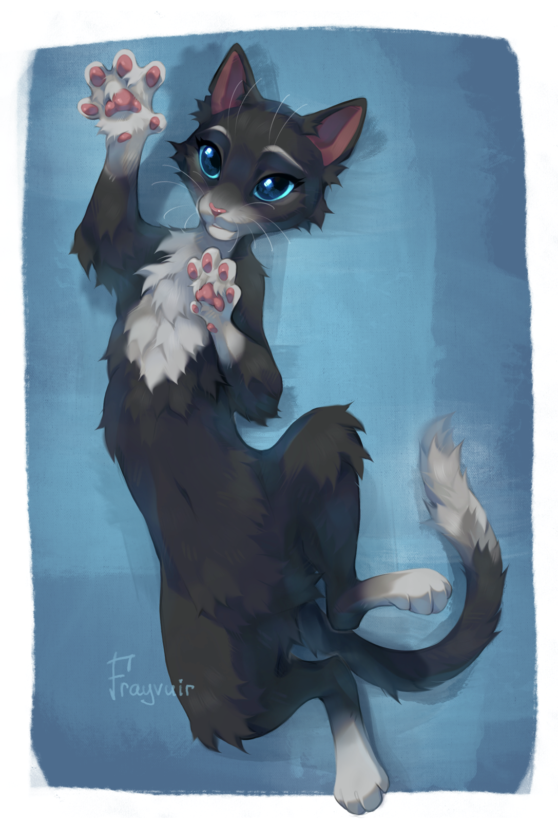 Kitty softpaws art