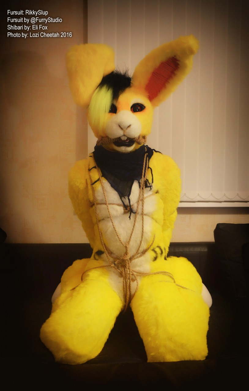 bondage rabbit plushie