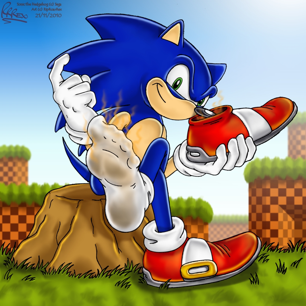 Sonic - Sneaker Fresh by RipRoarRex -- Fur Affinity dot net. feet. foot. sm...