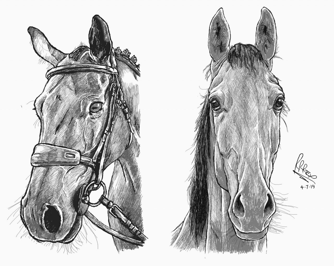 Untitled: Horse Sketch | Art Blog