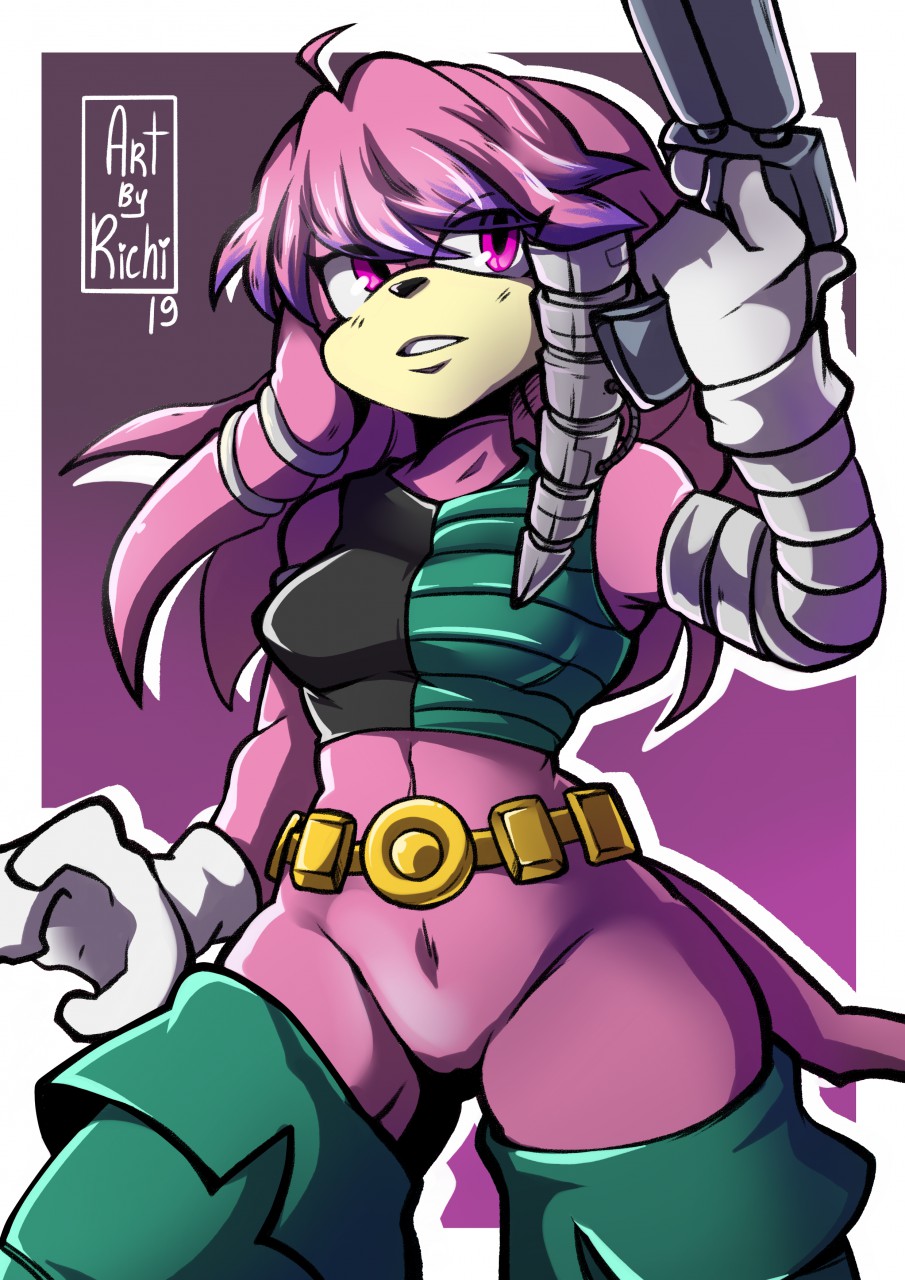 Julie-Su  Sonic heroes, Sonic fan art, Echidna