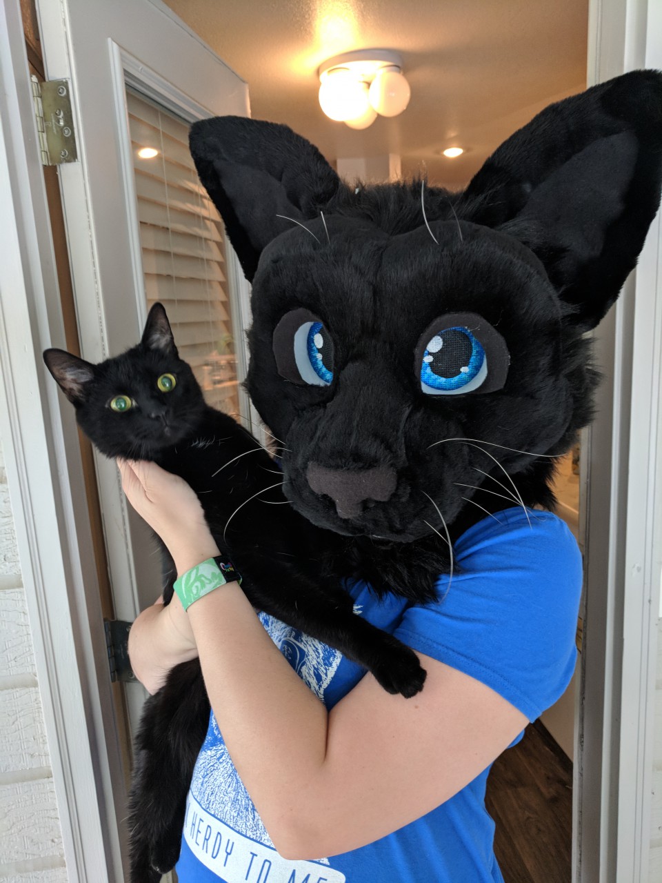 Black cat head by Ritz_Bitz -- Fur Affinity [dot] net