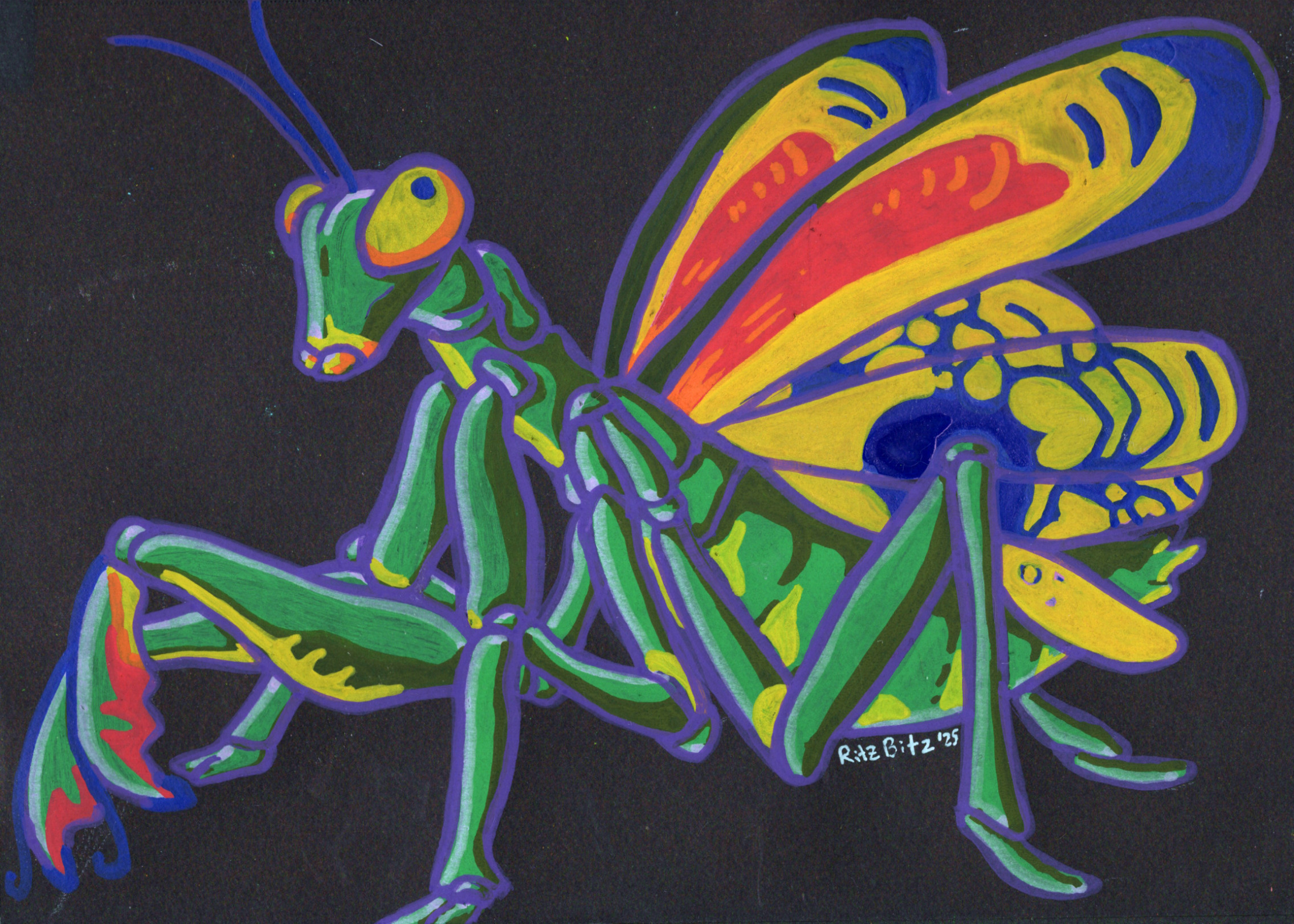 Mantis posca