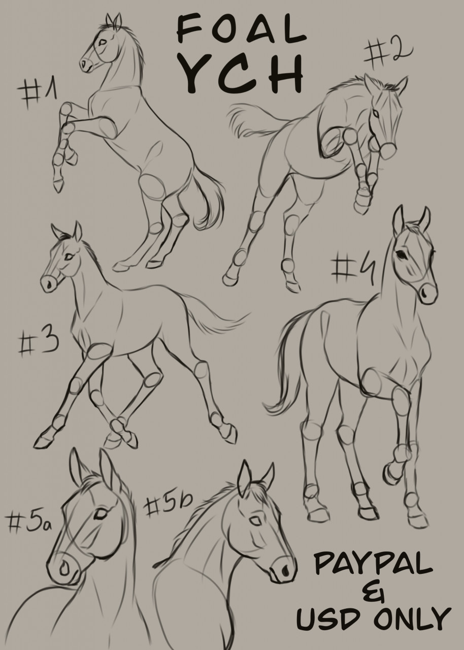 Horse Dynamic Pose Reference | Animal drawings, Dynamic poses, Horse  drawings