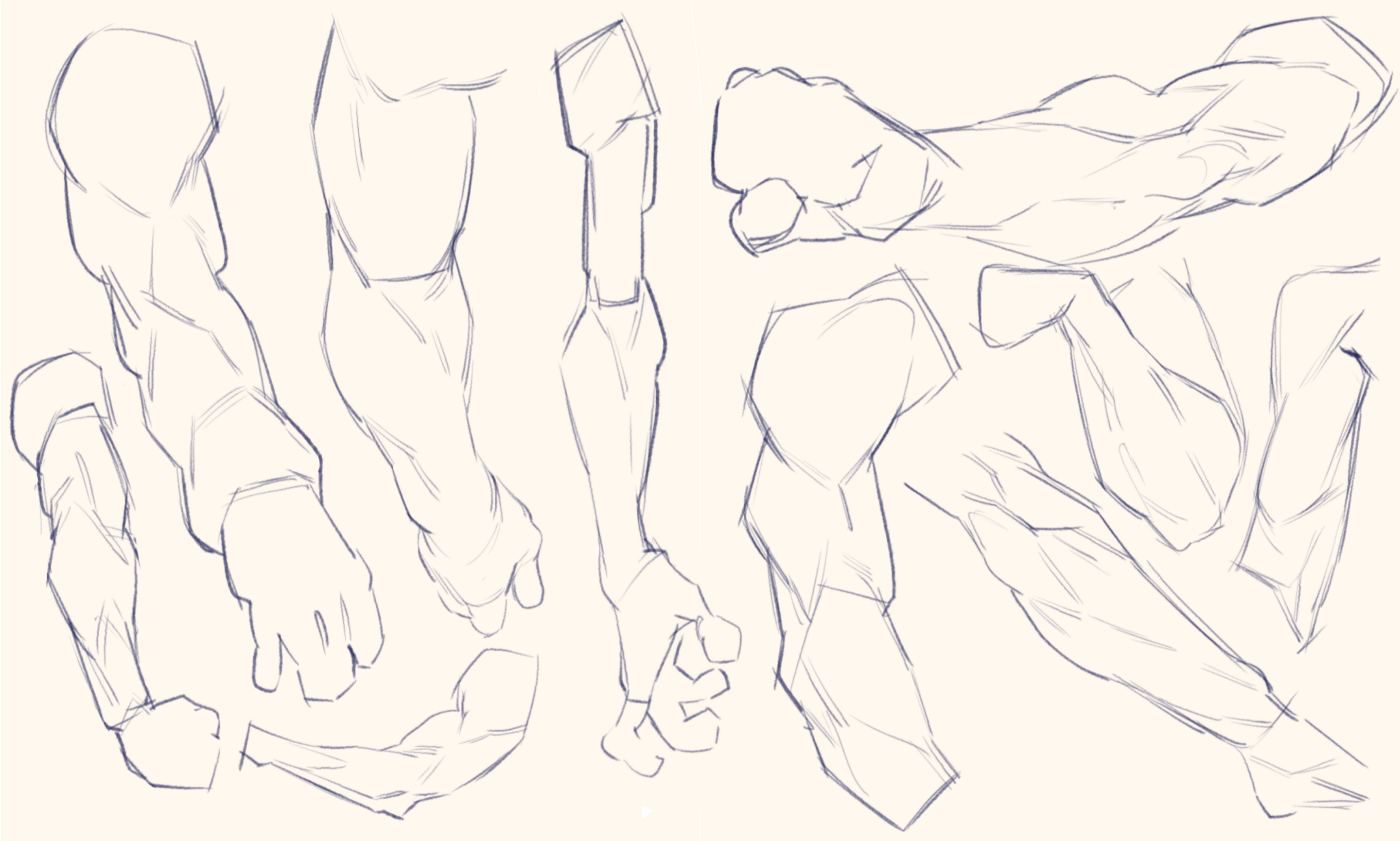 male arm reference