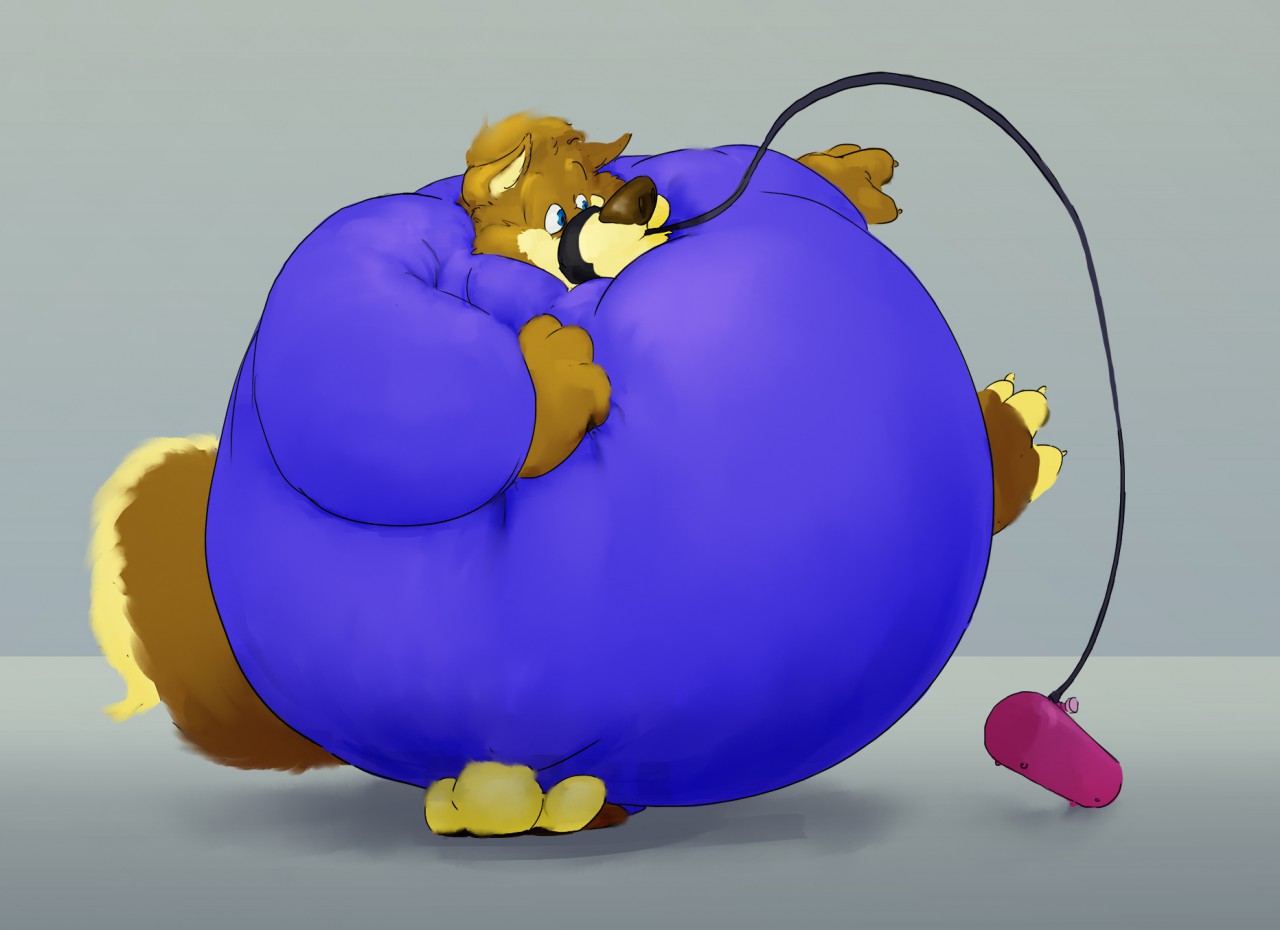Balloonable Roo Latex Suit Inflation (Part 2). 