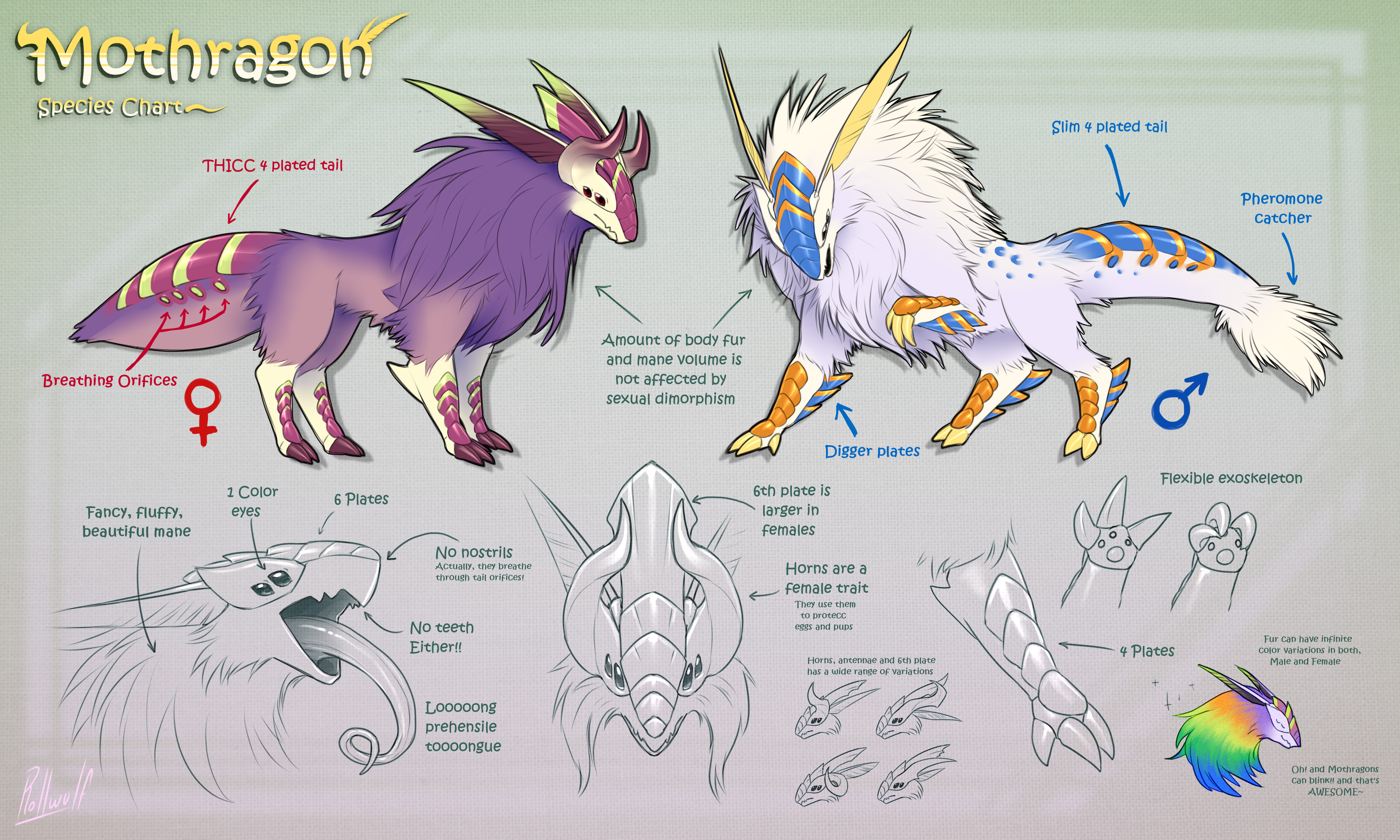 Open Species: MOTHRAGON