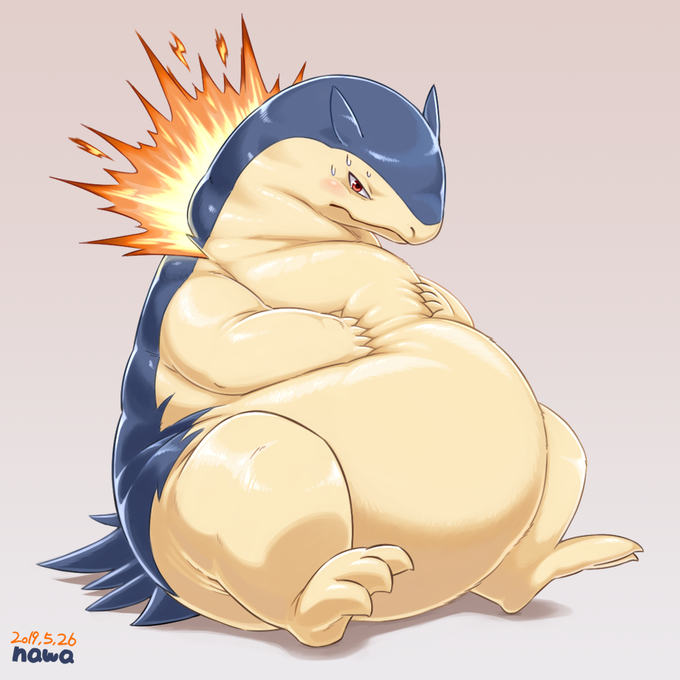 Fat typhlosion