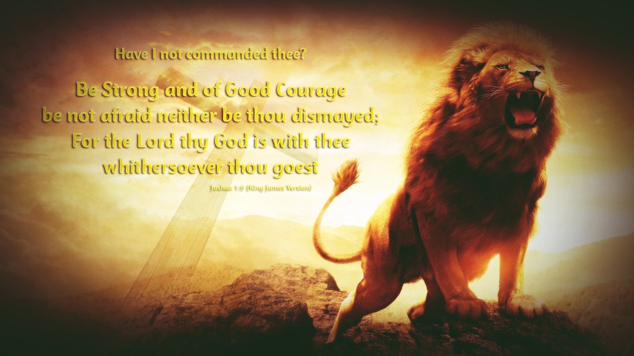 The Lion  Christian Wallpapers
