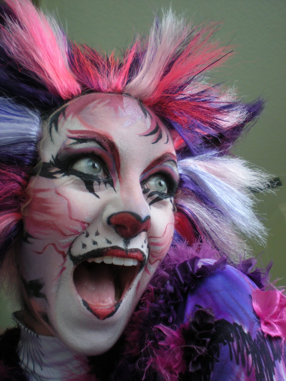 Cheshire Cat Costume Cats