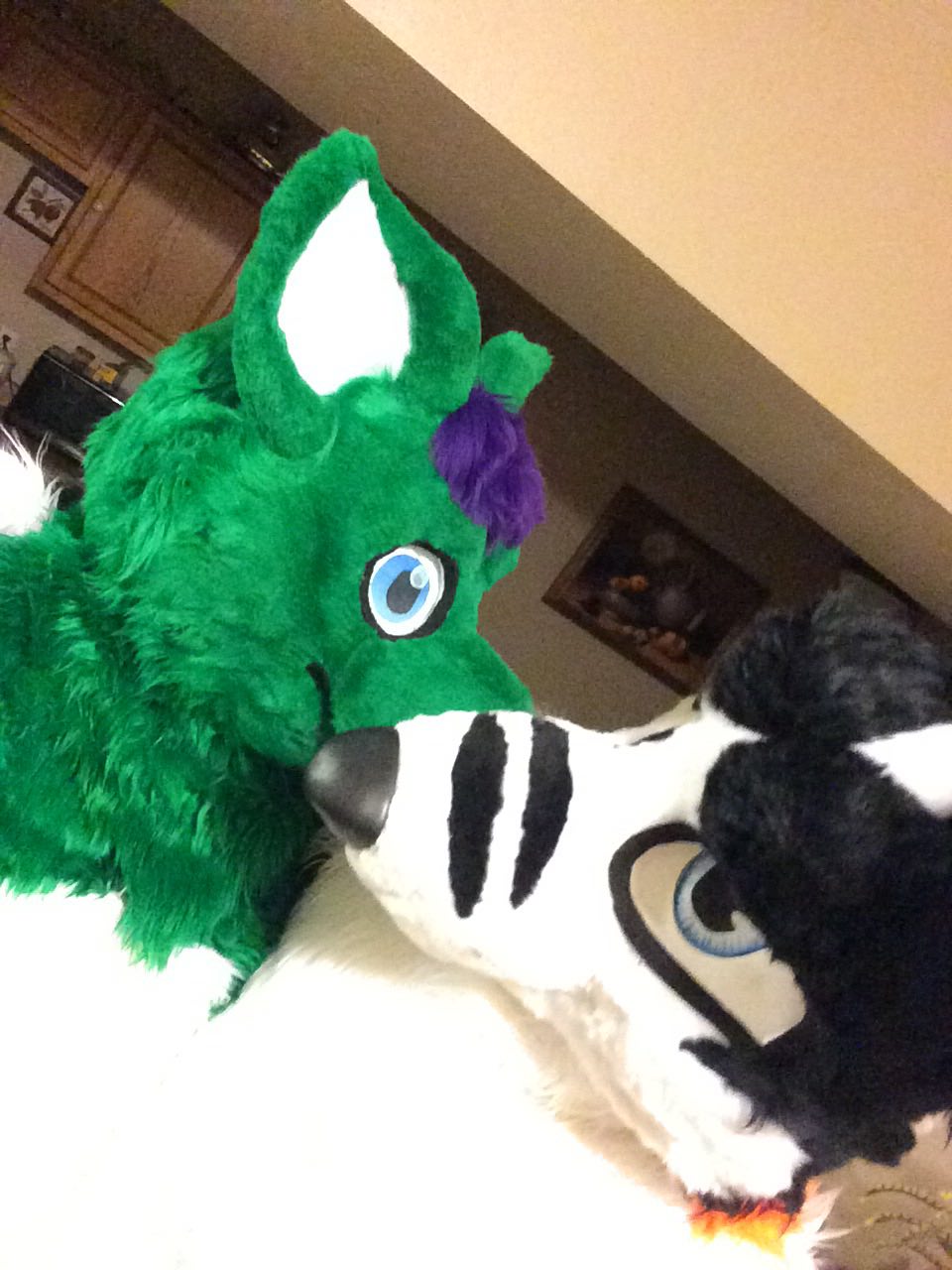 Fursuit mating