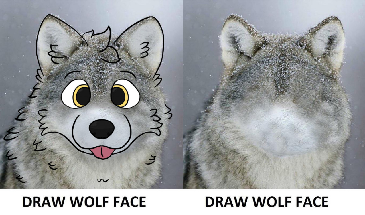 How to Draw a Wolf Head : 15 Steps - Instructables