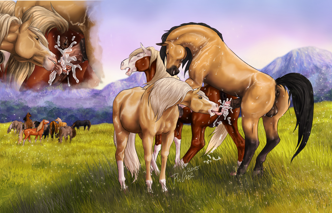 ...cimarron-equid+american paint horse+horse+equine+mammal-2b1a3c283273fef6...
