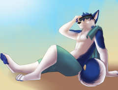 Husky Summer