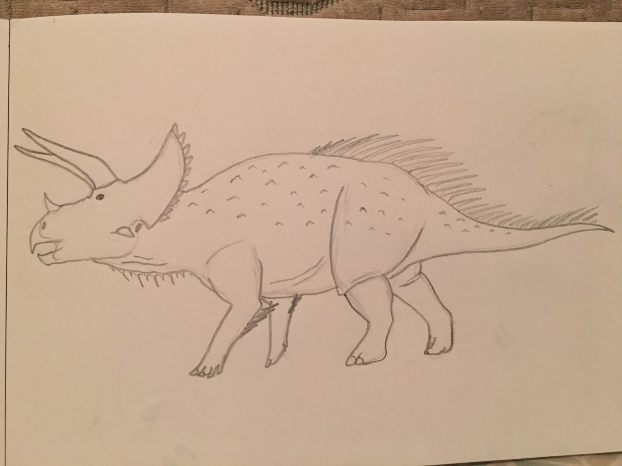 Learn how to draw a Triceratops - EASY TO DRAW EVERYTHING